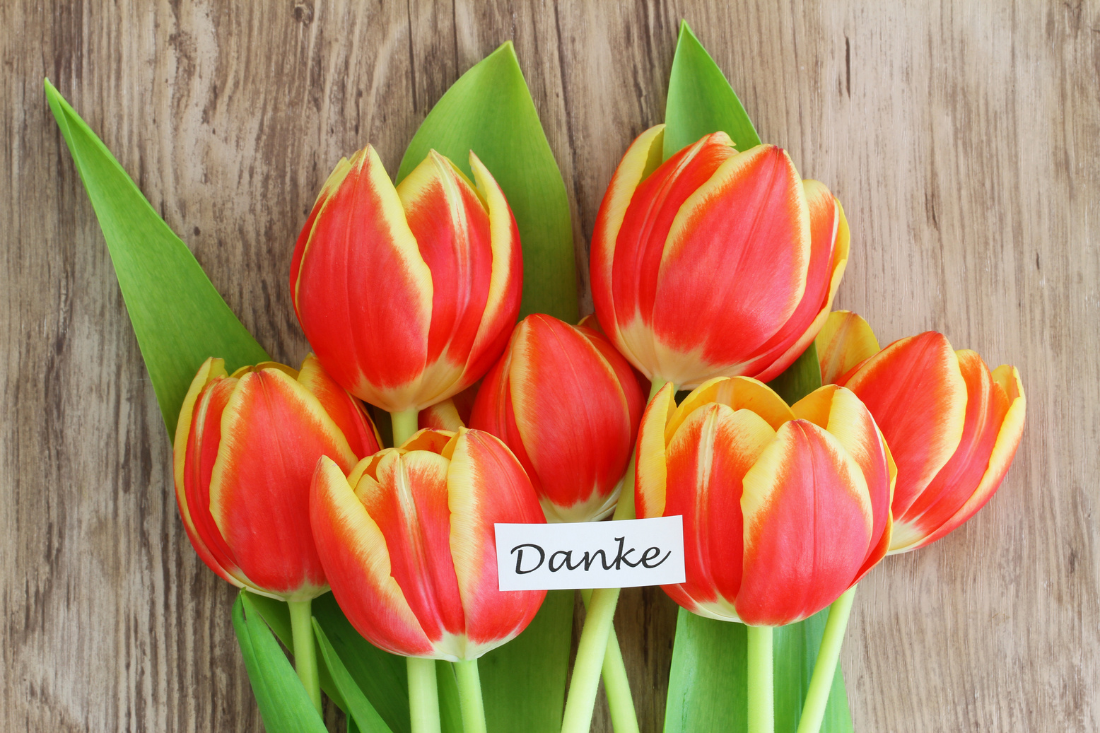 "Danke" card (thank you in German), with colorful tulips